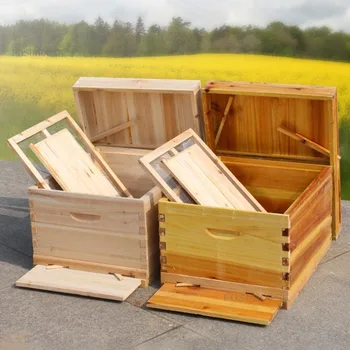 Высококачественное деревянное пчелиное гнездо из кипящего воска с подвижным дном Оборудование для пчеловодства Пчеловод для сбора меда Принадлежности для пчеловодства