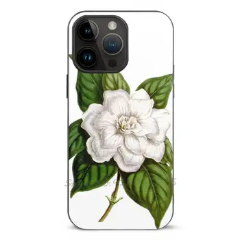 Gardenia Jasminoides Чехол Для Телефона Apple Iphone 14 13 12 11 Pro Max Mini Plus Xr 8 7 Прозрачный Силиконовый Чехол Цветок Белый